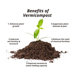 Organic Fertilizer ( जैविक खाद )