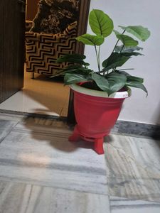 Wash Basing Mirror Small Wondrous And Plant