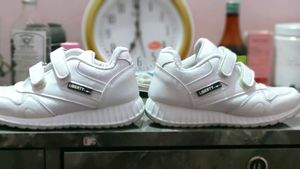 Fully Newly Condition. only Two Month Used
