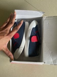 Cutewalk By Babyhug - NavyBlue VelcroClosure Shoes