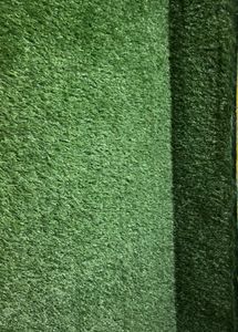 Green Grass May For Wall