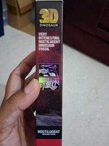 Noctilucent Dinosaur Fossil DIY Kit 2 Pcs