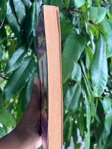 Heidi by Johanna Spyri