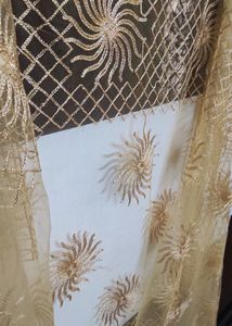 Golden Cream Tissue Dupatta