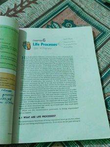 Class X Science Textbook
