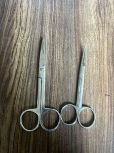 Small Stainless Steel Scissors (2)