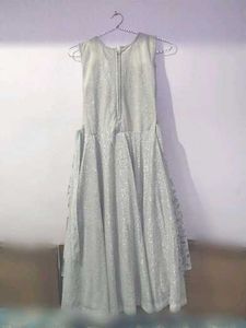 Elegant Embellished Dress
