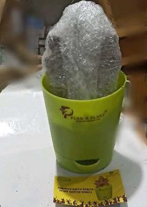 Plant Ganesh Idol in Pot