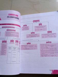 Oswal+Xamidea Class 10 Question bank