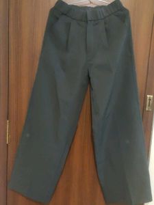 Wide Leg Dress Pants