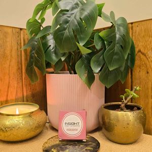 Insight Highlighter Savage Barbie