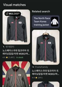 the North Face gym or sports korean Jacket