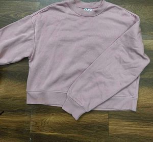 Sweat Shirt