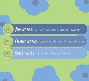 Secret Temptation Deodorant Romance