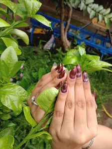 Maroon Cat Eye Nails