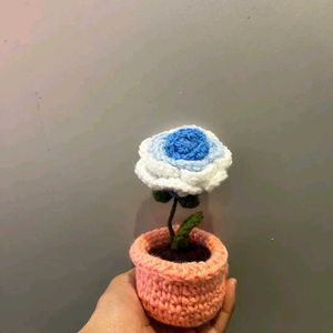 Chrochet Flower Pot
