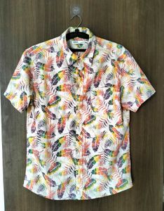 Designer Shirt