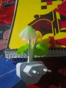 mushroom 🍄  light  changing ligh