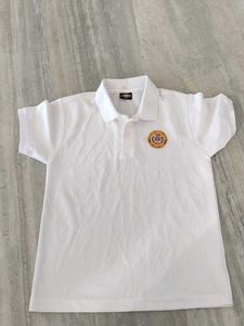 Unisex T Shirts Combo 7 Pieces