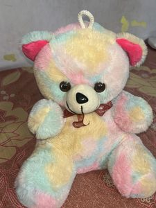Colourful Teddy Bear