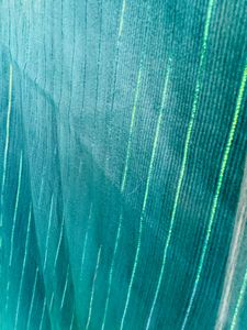 Ombre Green &amp; Blue Saree