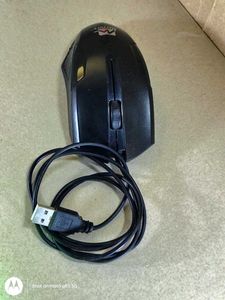 Mercury Mouse