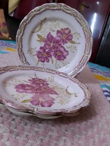 Floral Dinner Plates (Set of 6)