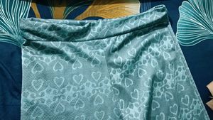 Plazo Pant