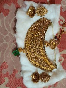 Golden Set Party Wear