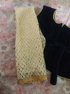 Elegant Navy Blue Velvet Lehenga Choli