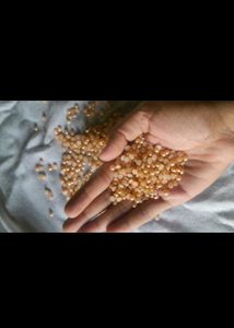 Half Pearl Stone 50 Gram