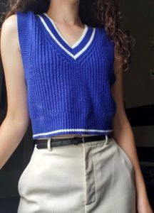 Blue V-Neck Knit Top