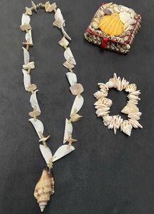 Seashell Jewelry