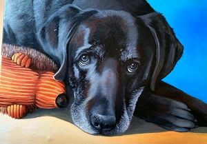 Pet Potrait Painting