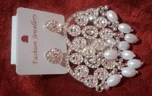 Stunning Silver Tone Dangle Earrings