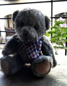 Cute Little Teady Bear
