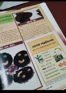 Hindi Magazines