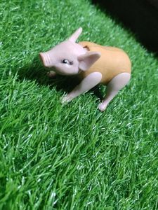 Pig Miniature