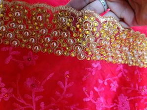 Beautiful Dulhan Saree