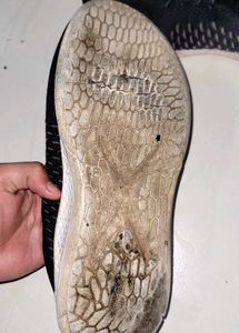 Adidas Copy Shoes