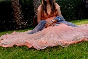 Peach Net Gown