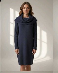 H&m Elegant Knit Cowl Neck Dress