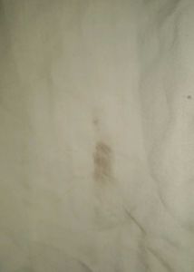 Cream Shirt for men