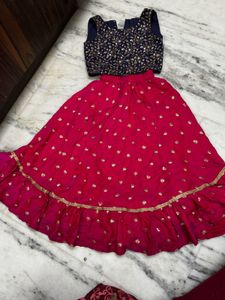 Elegant Lehenga Choli