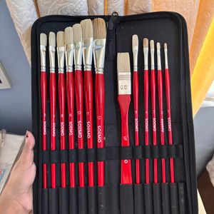 🎨 Solimo 13-Piece Oil Paint Brush Set + Premium C