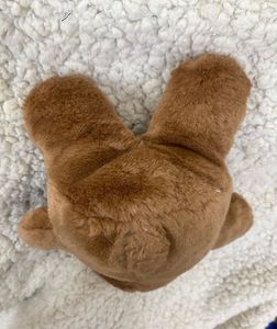 Cute Fluffy Teddy Bear 🧸