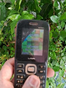 Lava Mobile