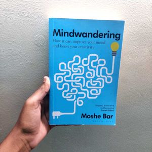 Mindwandering - Non-Fiction Book