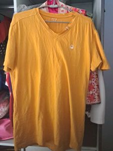 Unisex Cotton Tshirt