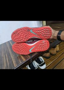Nike  And  Skechers Shoes Original